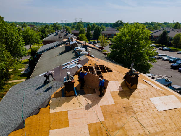 Best Gutter Installation and Roofing  in Maury, NC