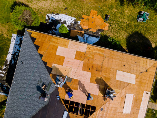 Best Commercial Roofing Services  in Maury, NC