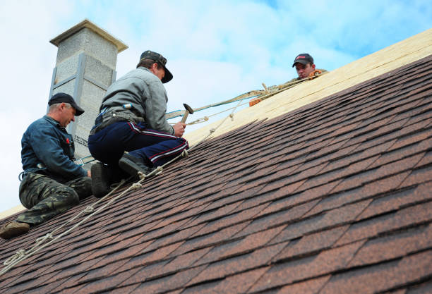 Quick and Trustworthy Emergency Roof Repair Services in Maury, NC